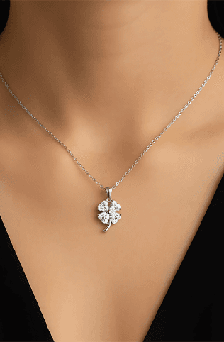 Discover New Collection