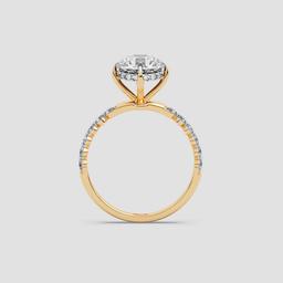 Radiant Halo Reverie