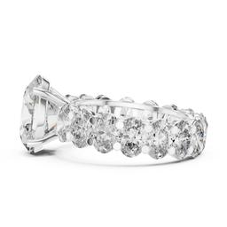 Sculpted Oval Splendor Ring